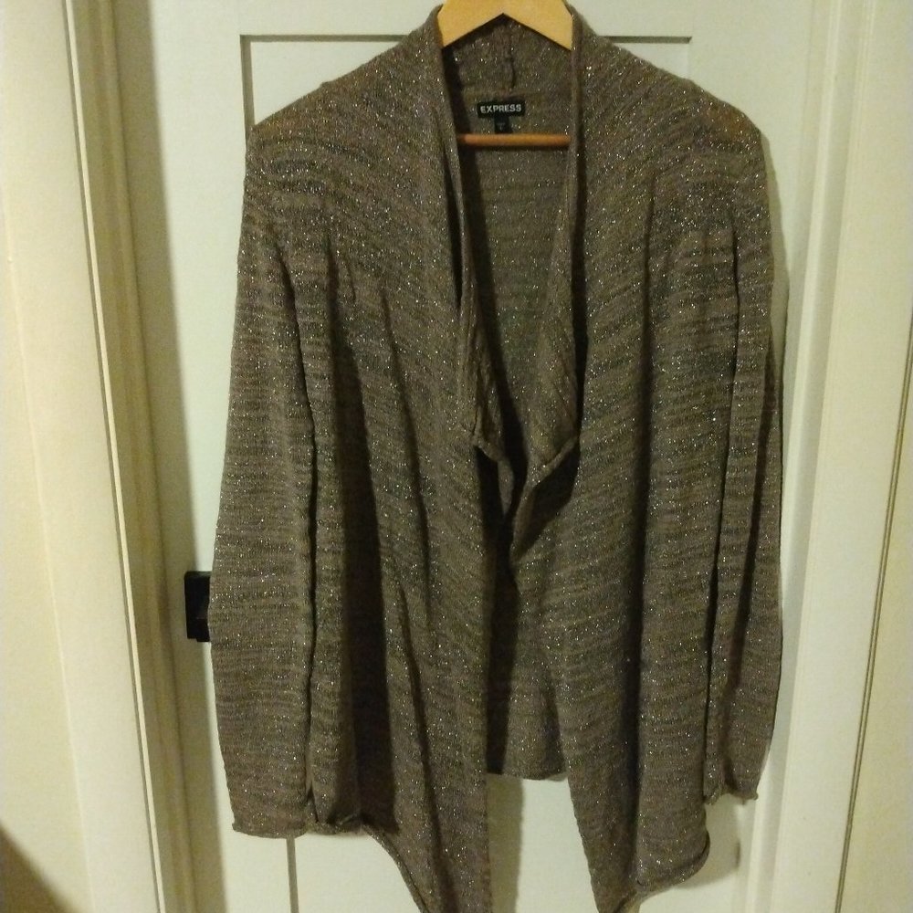 Express Metallic Long Sleeve Sweater